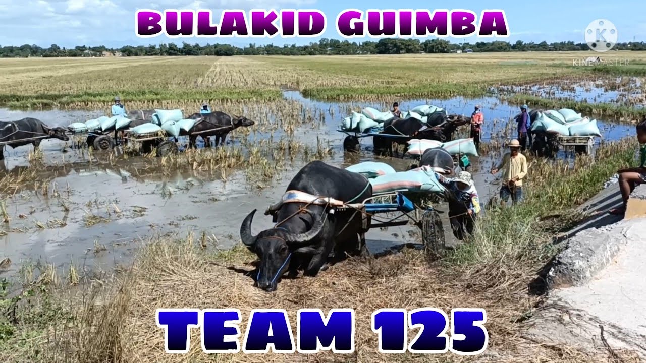 team 125 bulakid guimba BUHAY BUKID JRTV