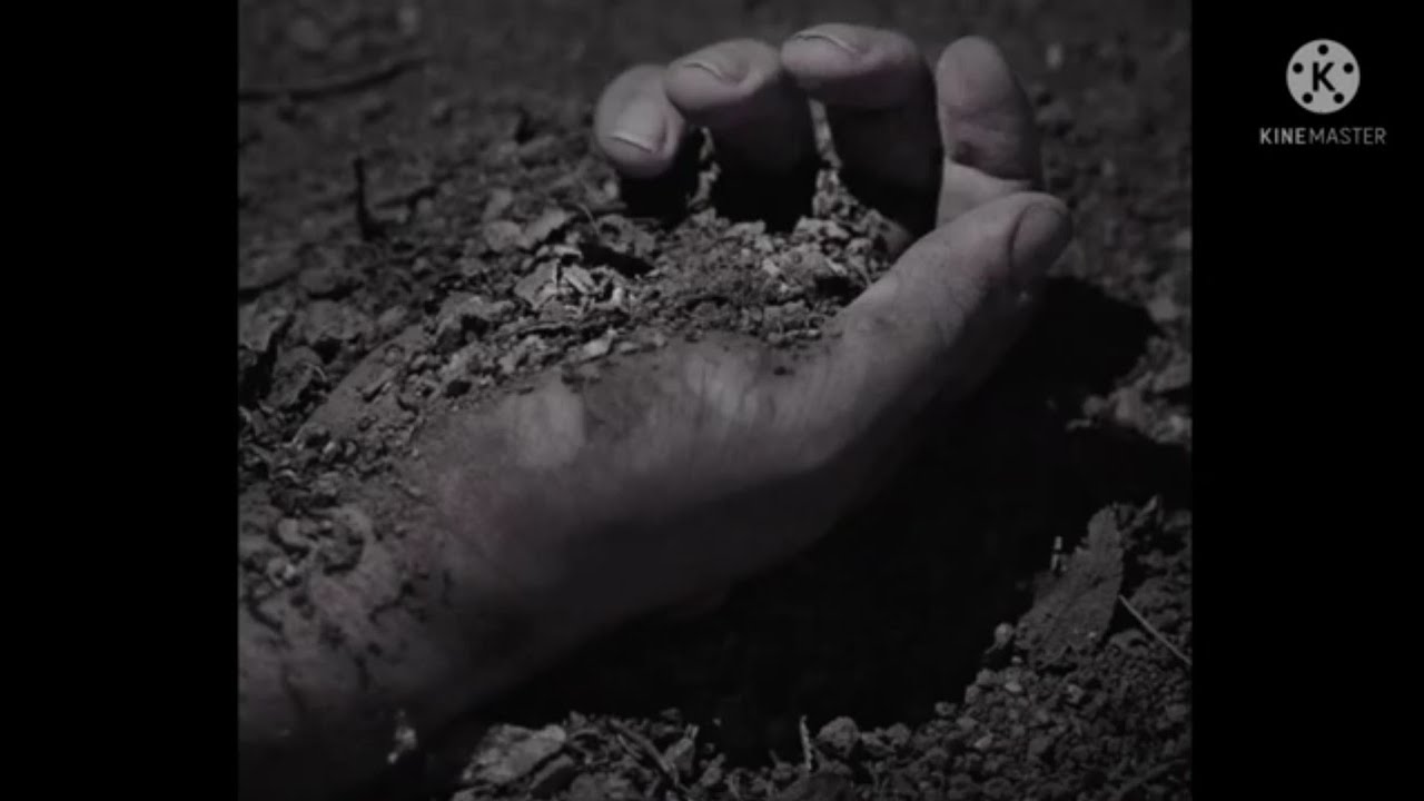BONES - 517 (Lyric Video) | Prod. Greaf