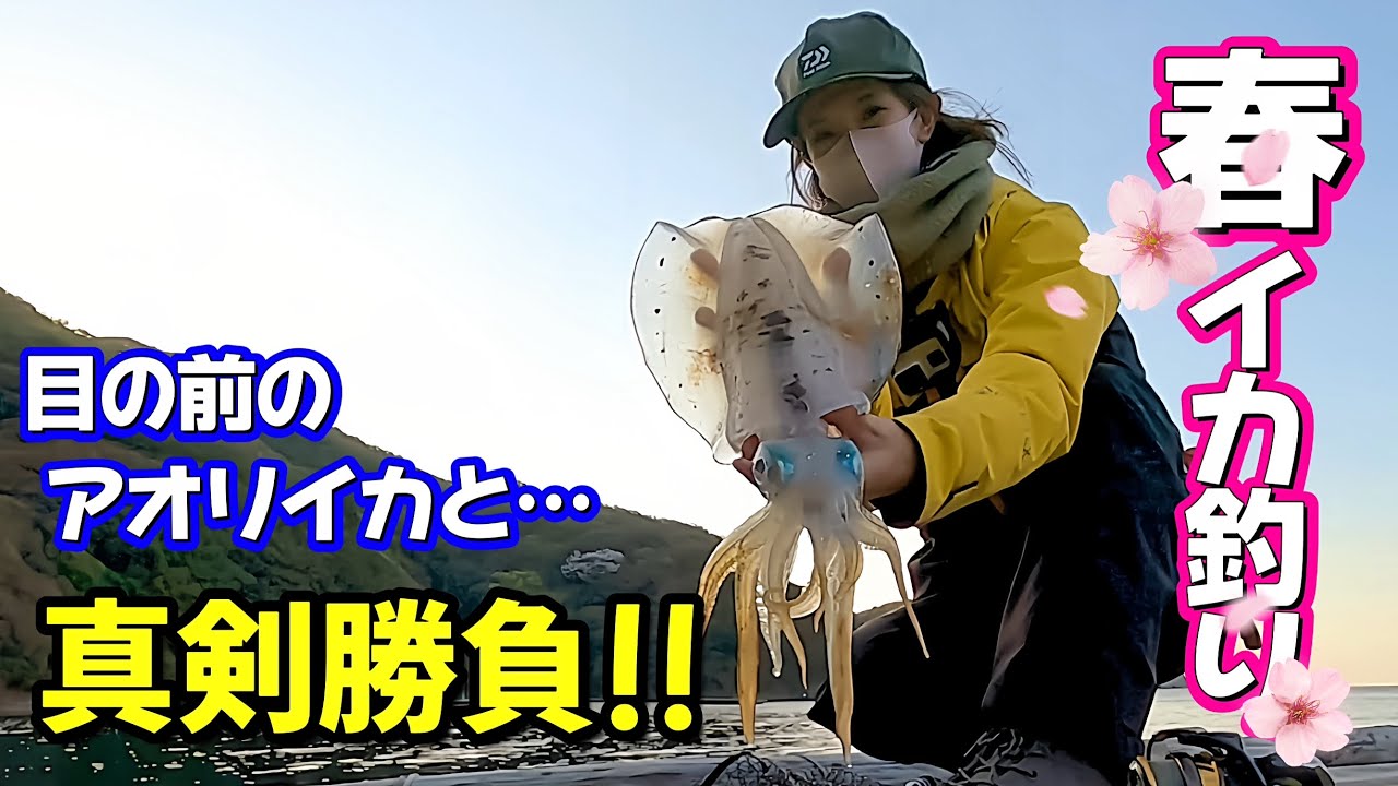 【春イカ】目の前のアオリイカとの真剣勝負!! 釣ってその場で料理してみた♪（エギング･アジの泳がせ釣り）