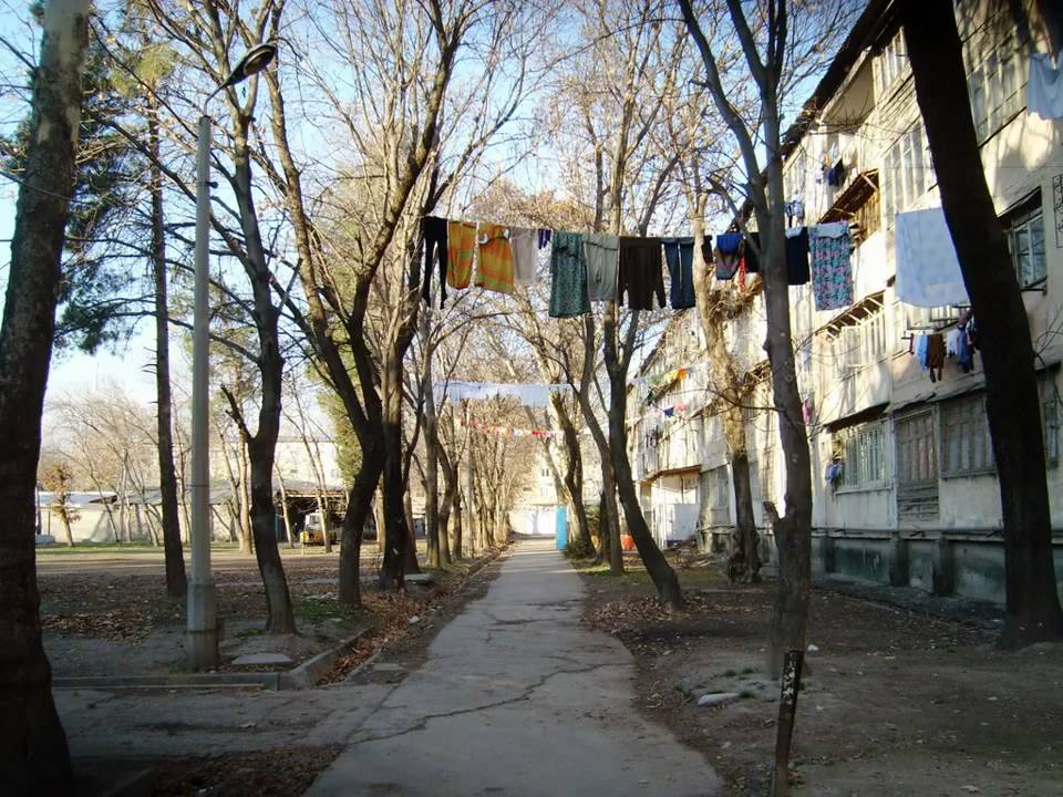 Моему любимому городу Душанбе посвящается...