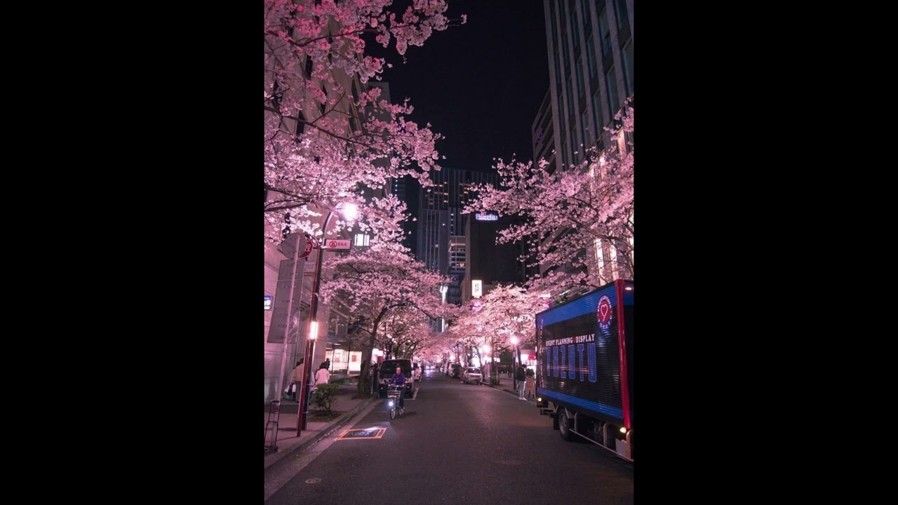 [free for profit] hako + lunchbox + new jazz type beat 