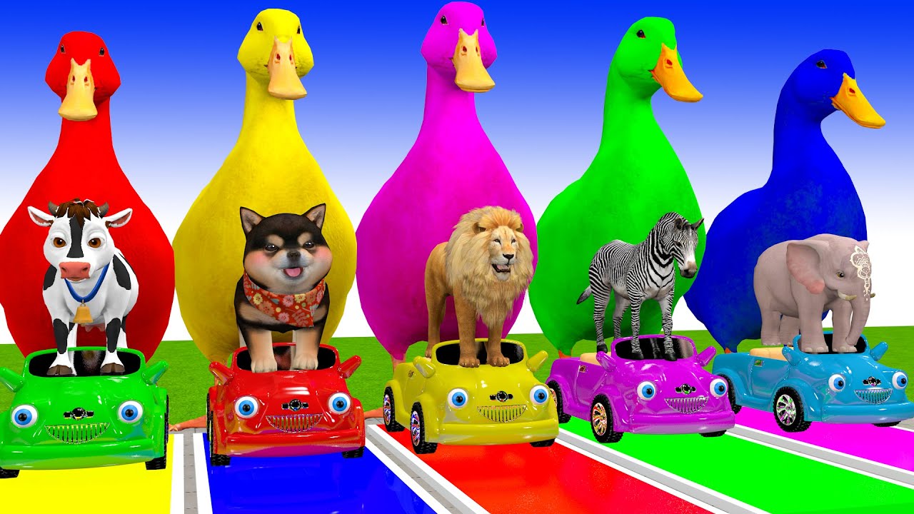 Long Slide Game With Cow Elephant Gorilla Hippopotamus Tiger 3d Animal Game Funny 3d Animals