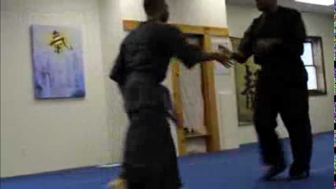 Sanuces Ryu Forms (Kata)