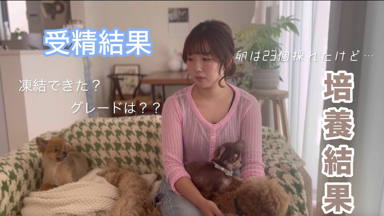 【不妊治療】受精結果と培養結果￤気になるグレードは？￤凍結何個できた？￤1人目妊活中￤体外受精…￤