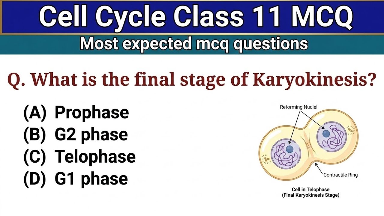Cell Cycle & Cell Division MCQ For NEET | Biology MCQ 2025 | Class 11 Biology MCQ