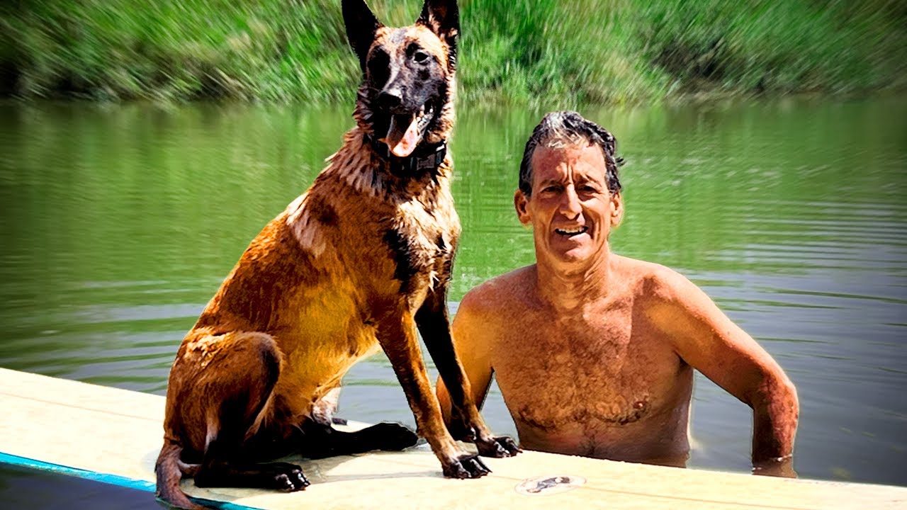 Mi Papá y su nueva Mascota, ella es TUNDRA una pastor Belga Malinois