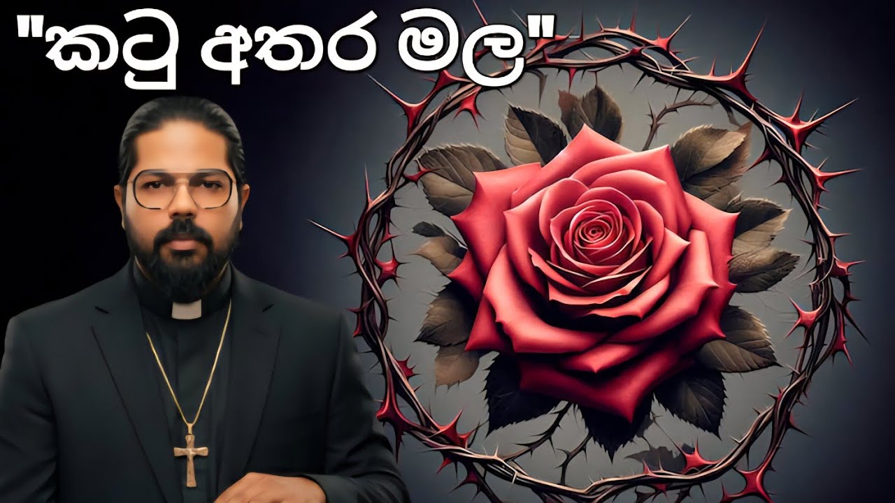 කටු අතර මල..  (05/11/2023)
