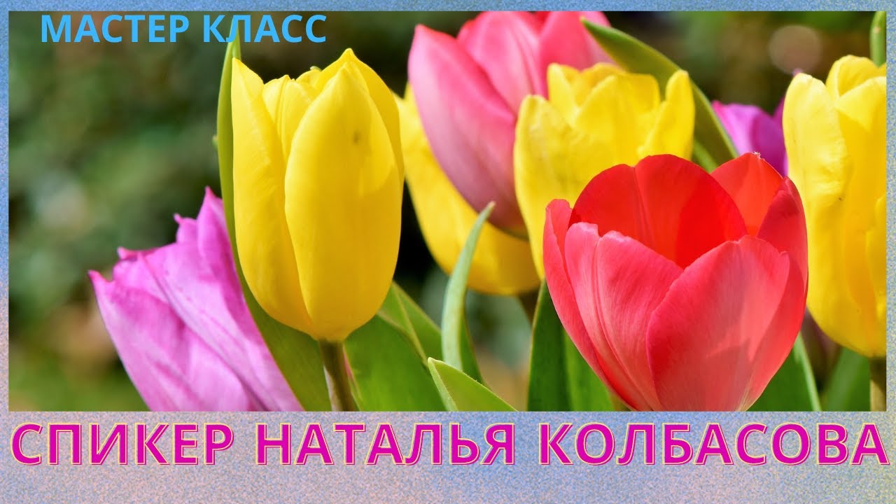 МК часть 1💐 Торт 