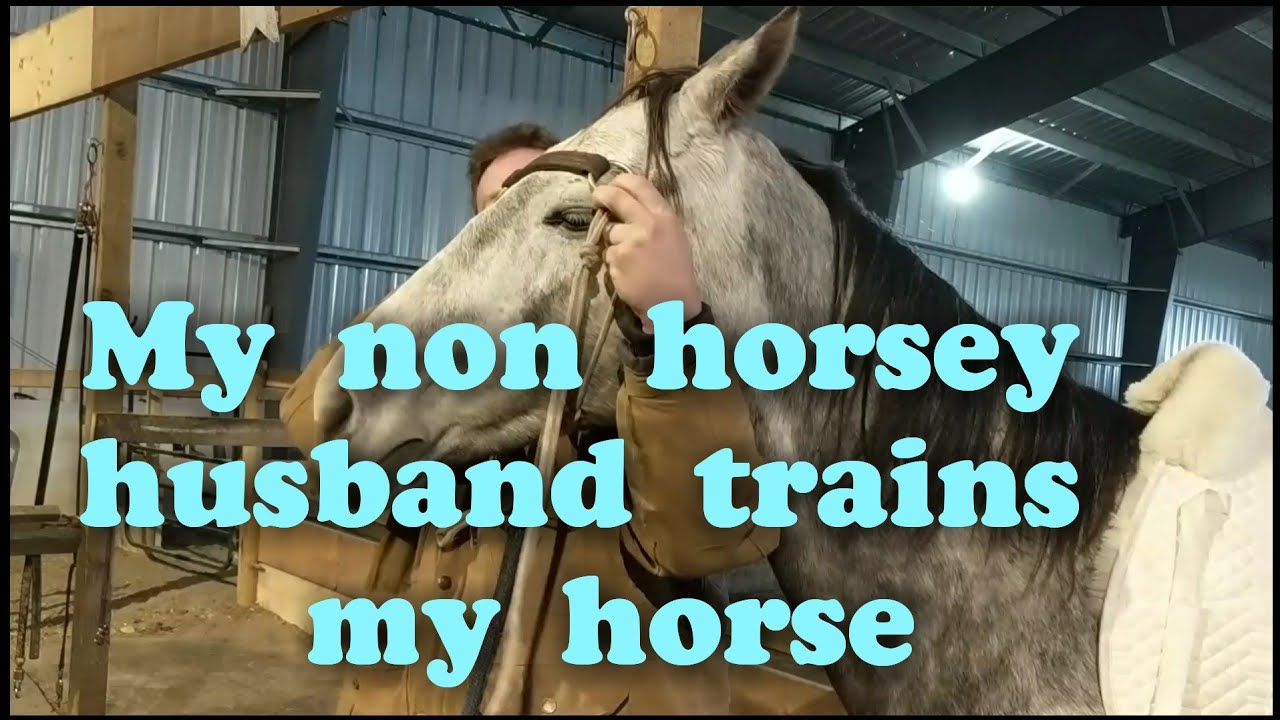 My husband trains my horse!!