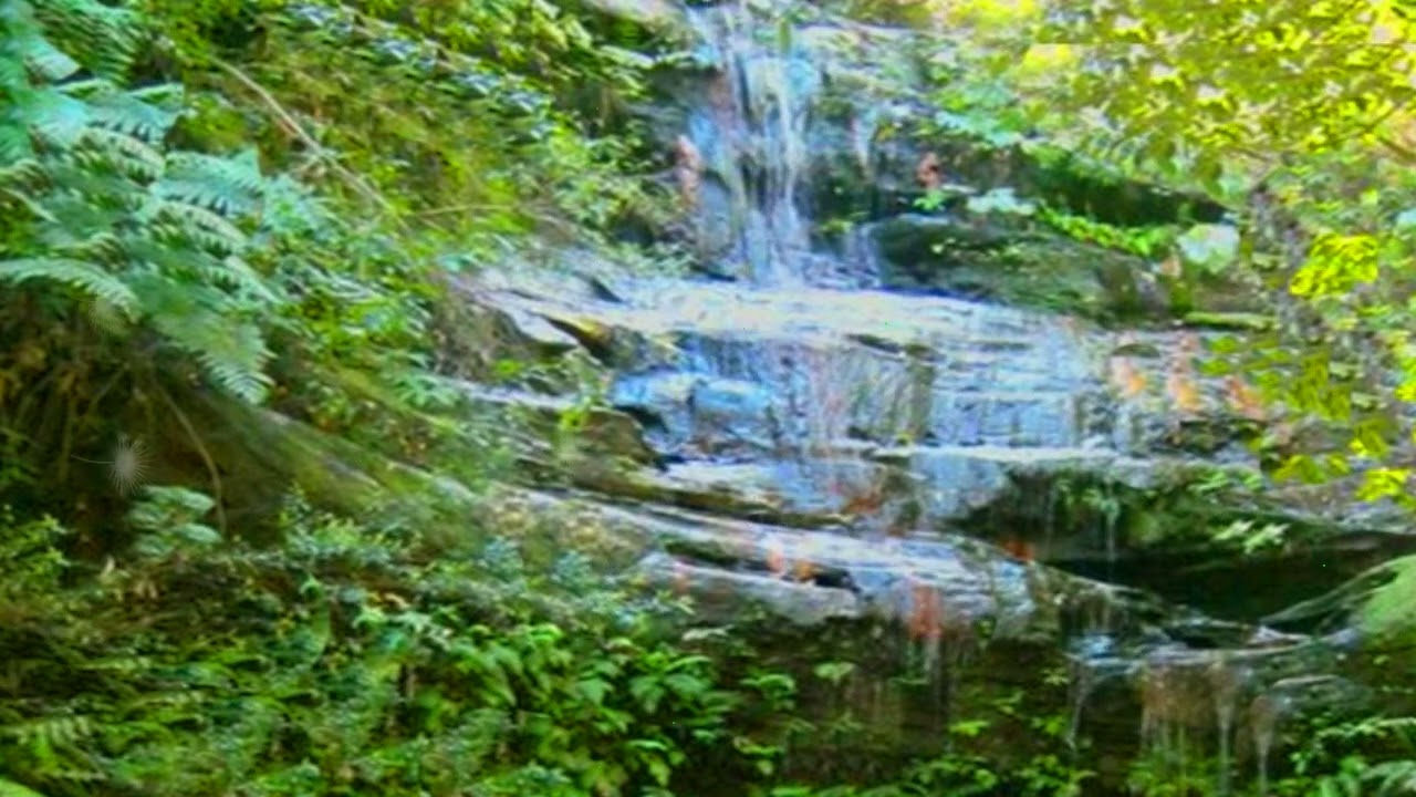 Clarinda Falls at Blue Mountains Australia
