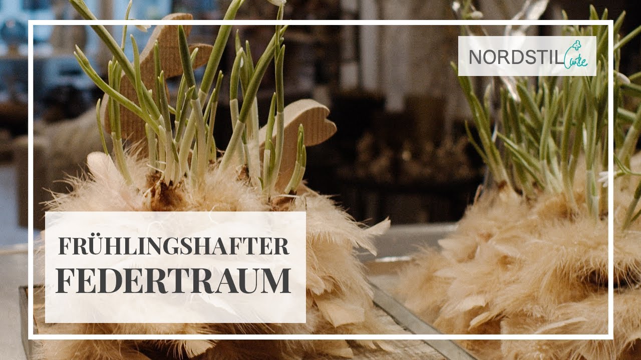 Frühlingshafter Federtraum