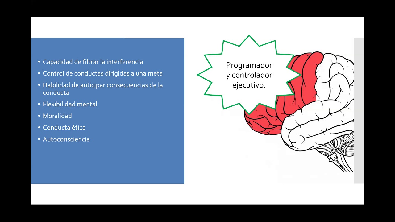 SÍNDROME FRONTAL Y PREFRONTAL