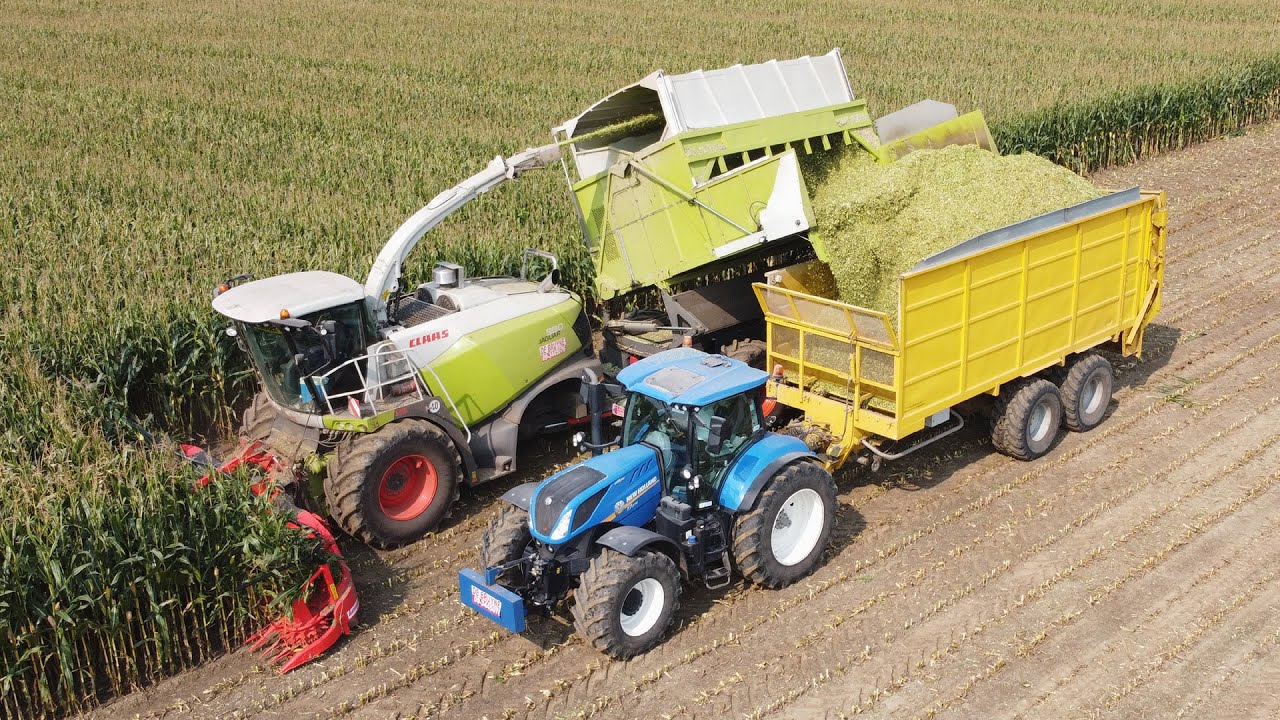 Claas Jaguar 980 Field Shuttle - Loonw. De Bruyne - mais hakselen
