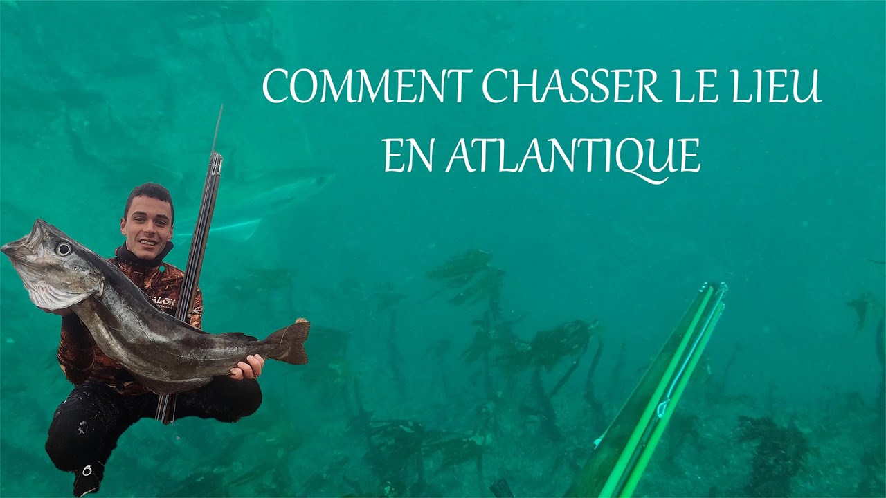 COMMENT CHASSER LE LIEU EN ATLANTIQUE