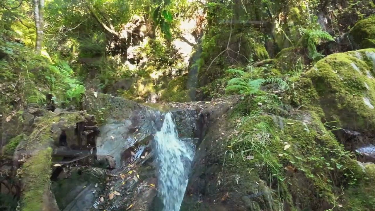 Magic Valley Farm – Where Water, History and Wilderness Meet. For Sale