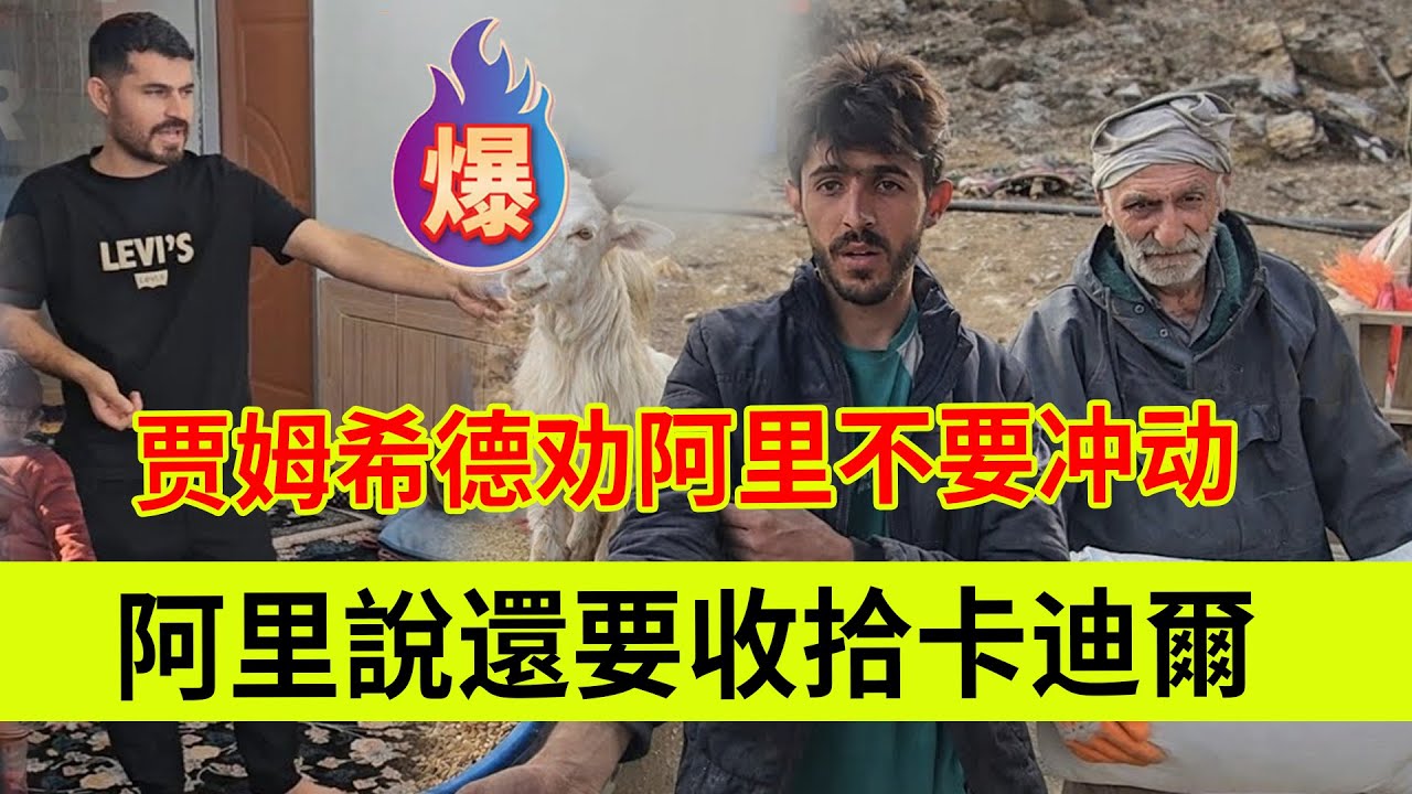 阿里说还要收拾卡迪尔，贾姆希德说要冷静。伊朗女人米娜纪录片最新后续