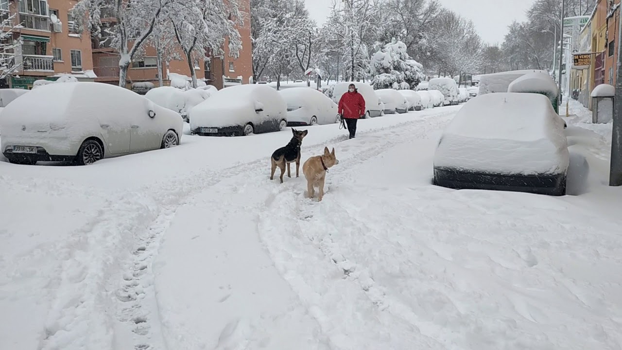 La nevada del siglo Alcala de henares 2021