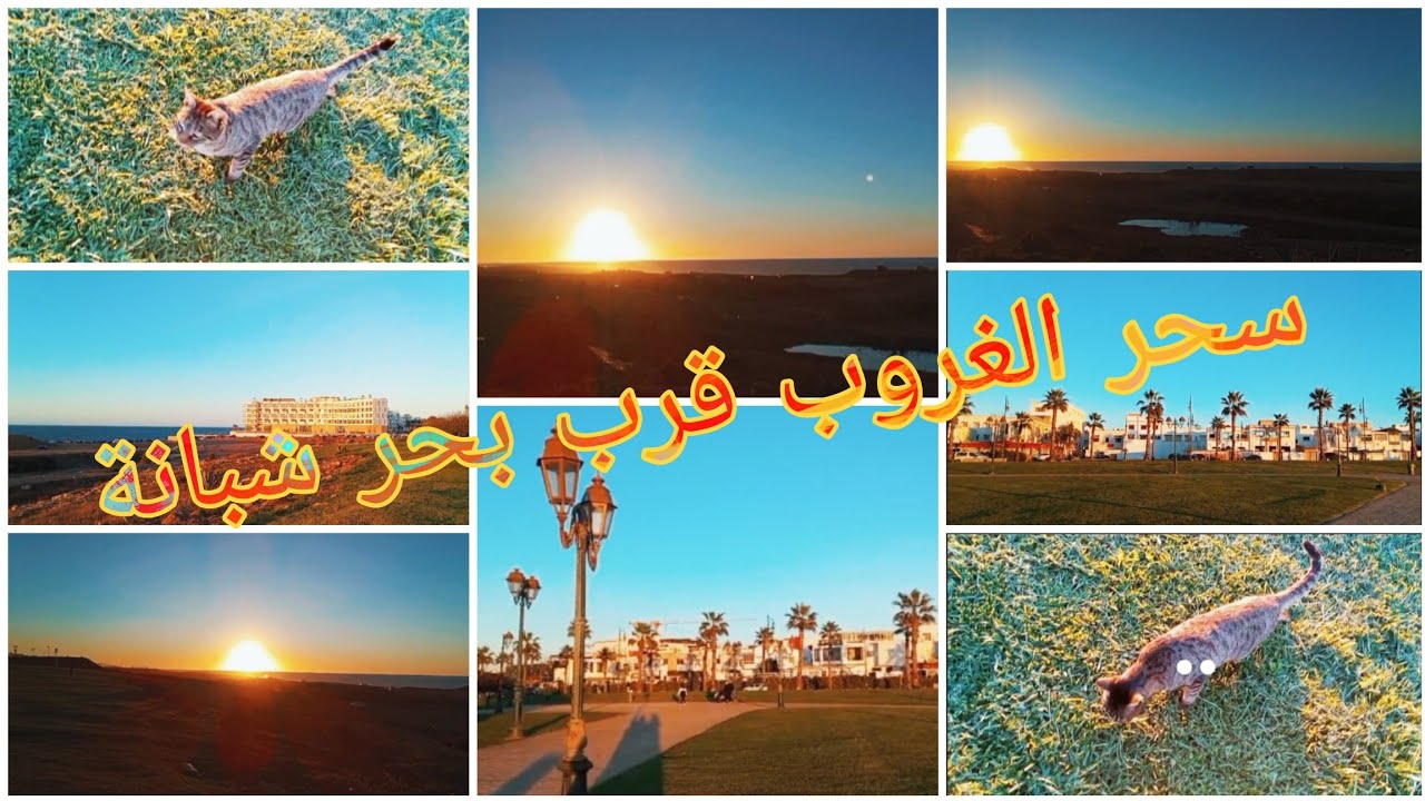 أجواء الغروب من شبانة الرباط قرب البحر… وصوت مولاي أحمد الحسني زاد المشهد جمالاً 🌅✨