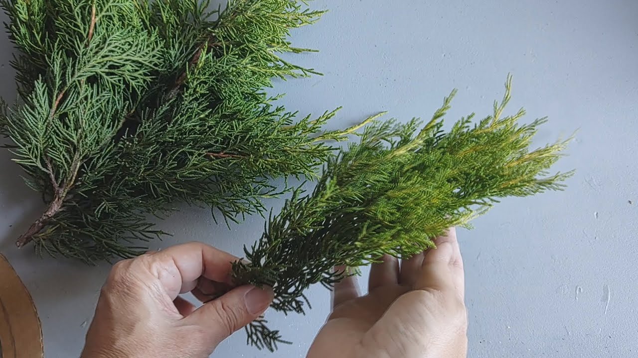 5 IDEAS RÁPIDAS y FÁCILES con RAMAS de PINOS ♻ RECICLAJE 🌼 ARTESANATO 💕MANUALIDADES 😍 Arte en casa