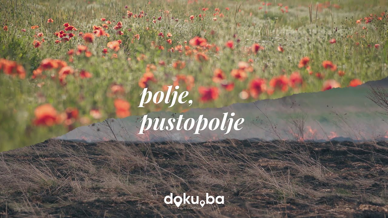 POLJE, PUSTOPOLJE [dokumentarni film]