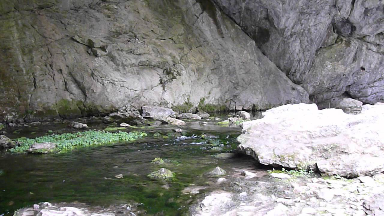 P1030288