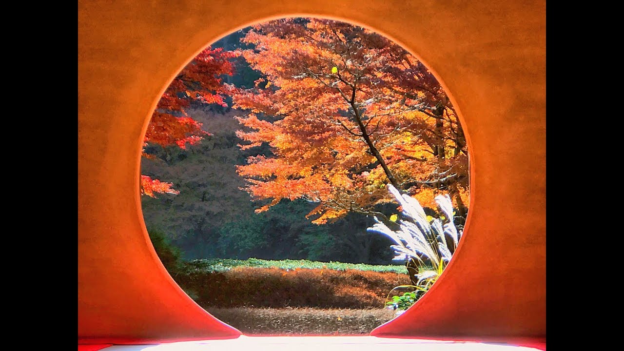 Autumn leaves in Meigetsuin temple in Kamakura 明月院の紅葉2017
