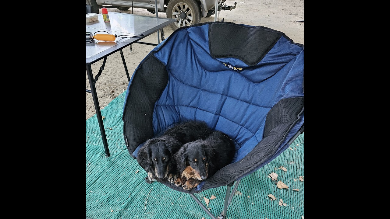 Weekend at Beaverlac with the Dogs
