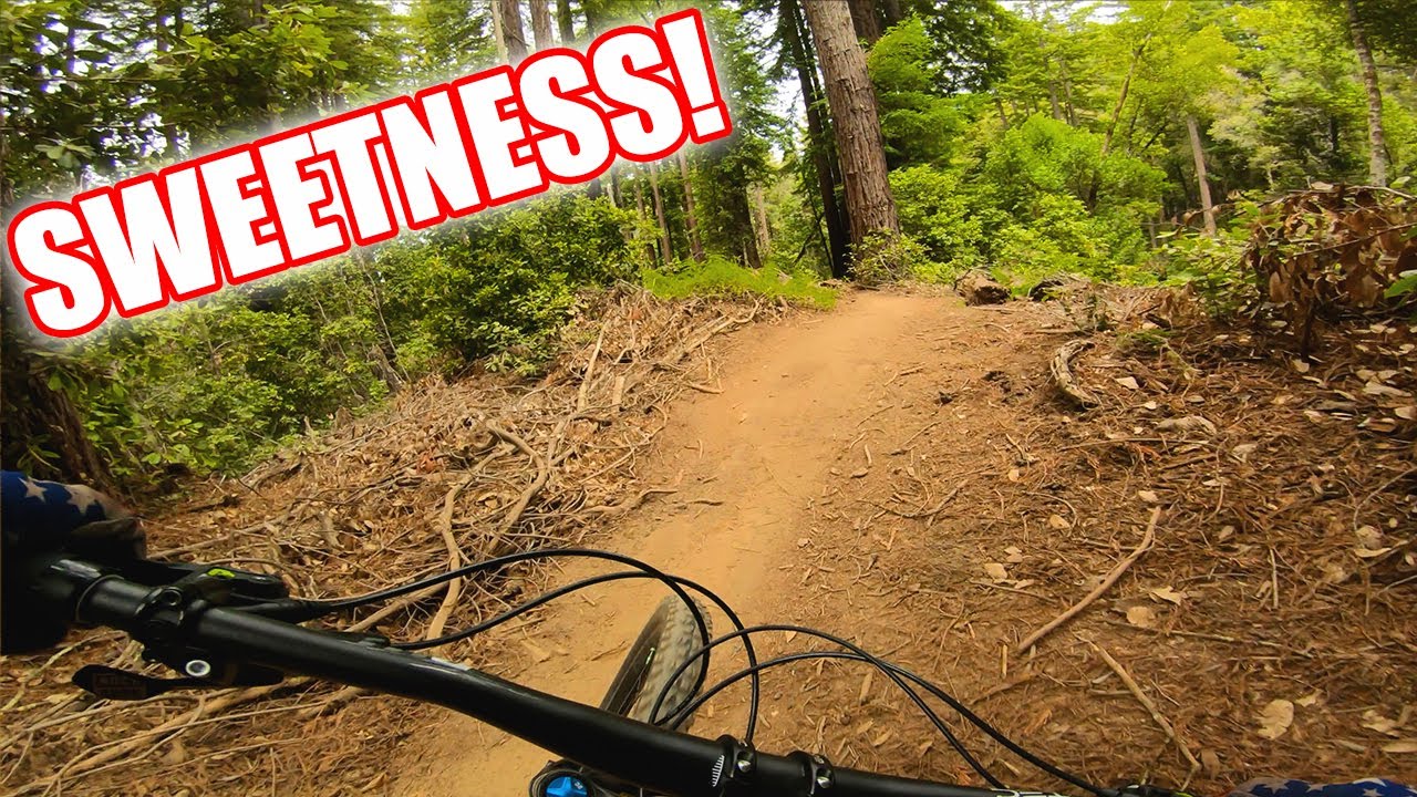 UCSC Sweetness Trail | Santa Cruz CA Mountain Biking / MTB