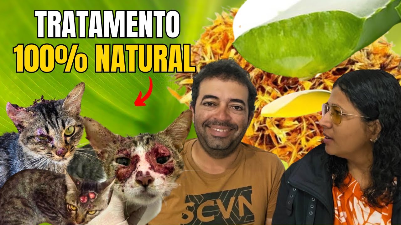 ESPOROTRICOSE EM GATOS - TRATAMENTO 100% NATURAL