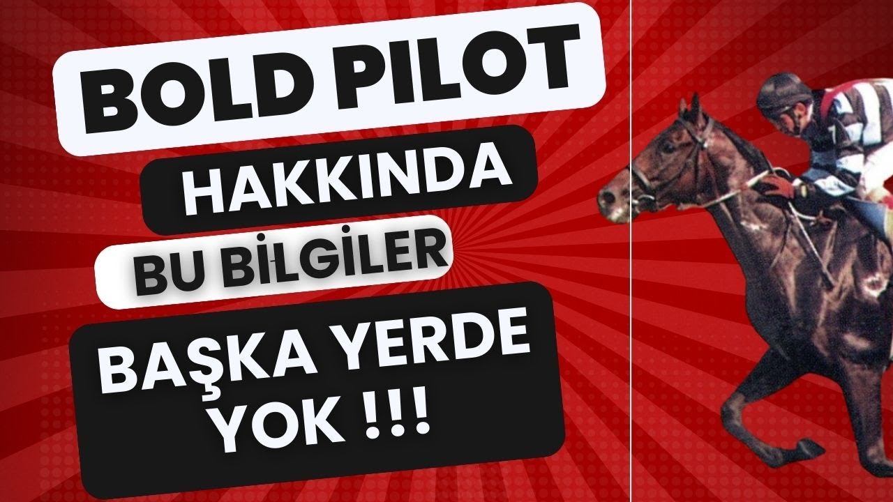 GAZİ KOŞUSU ŞAMPİYONU BOLD PİLOT I İLK DEFA DUYACAĞINIZ BİLGİLER I IHALİS KARATAŞ