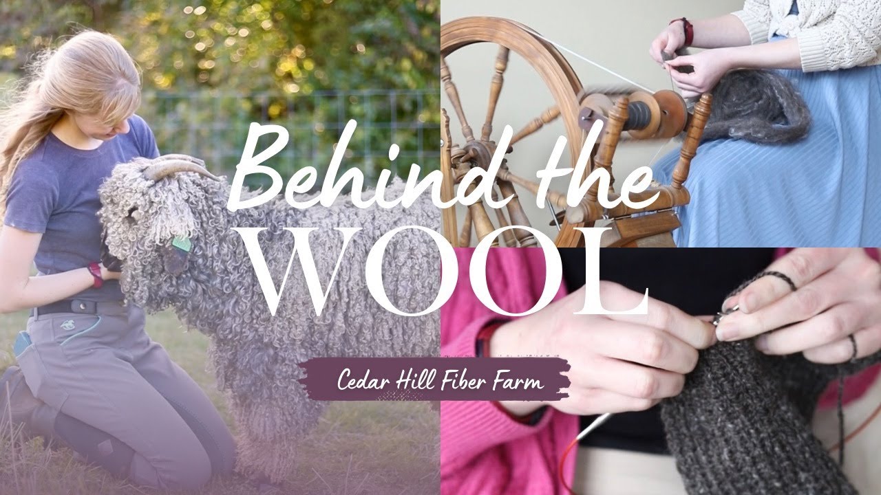 How Wool and Mohair Become a Knit Scarf | Behind the Wool