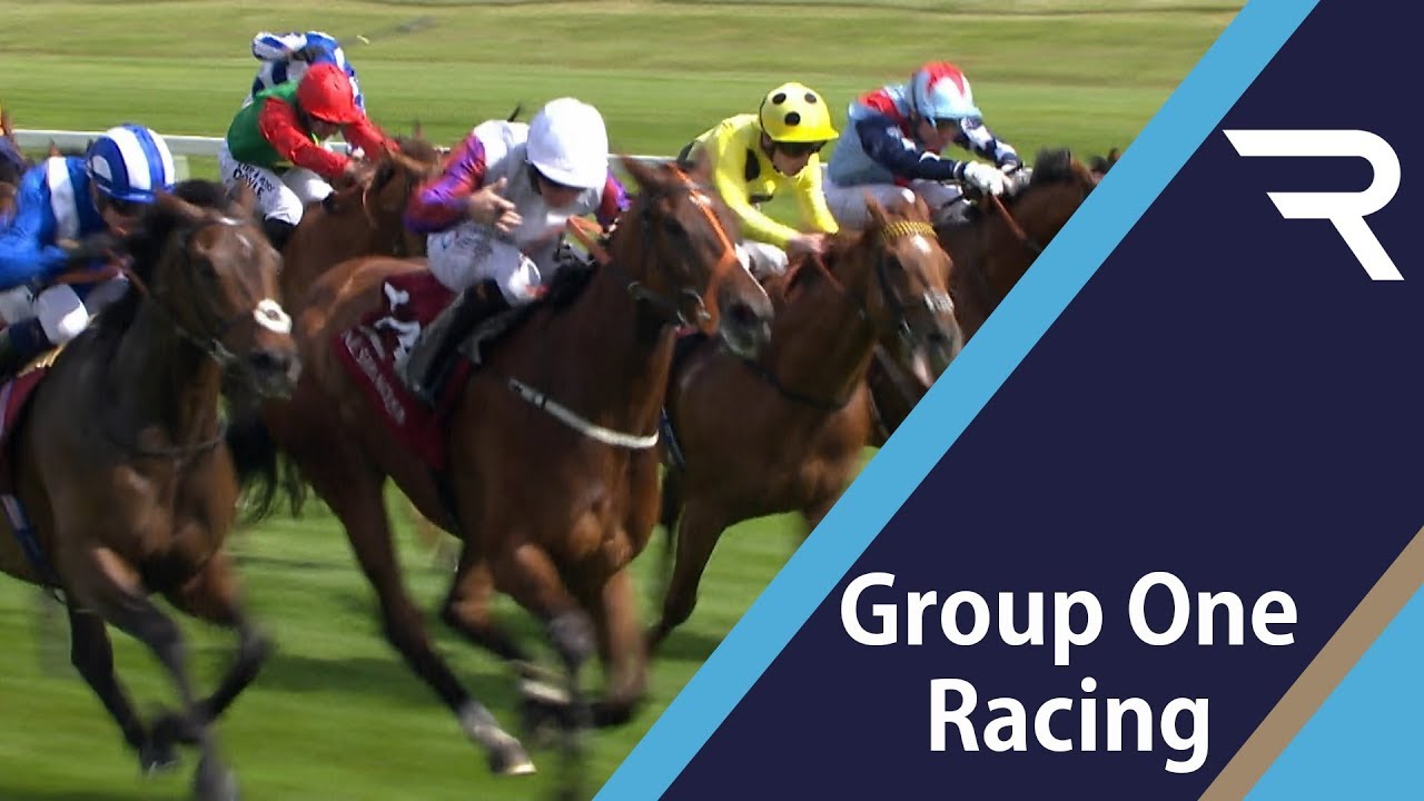 2019 Al Shaqab Lockinge Stakes | Newbury - Racing TV