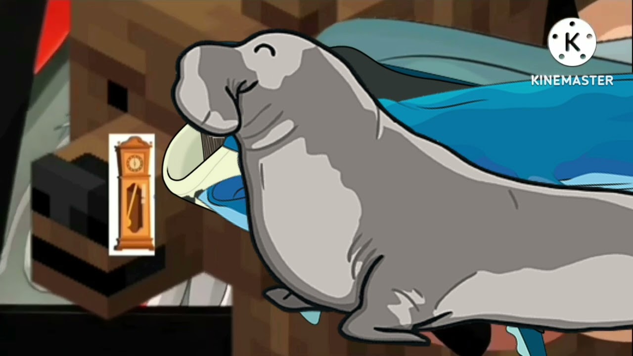 Hickory Dickory Dock Elephant Seal