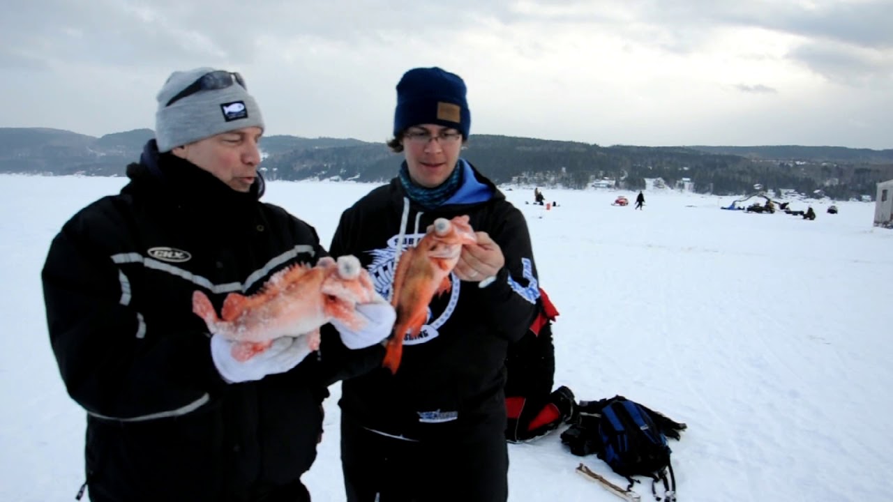 peche sur le fjord du saguenay 4 e