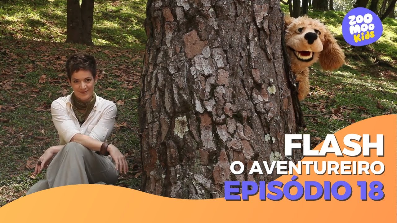 Flash, O Aventureiro | Episódio 18 | ZooMoo Kids