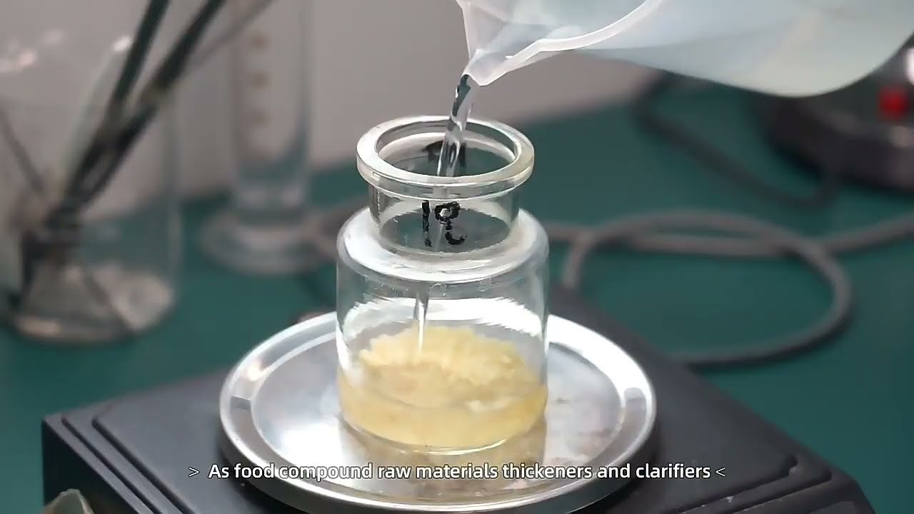 Gelatin Powder Bloom Test & Swelling Process (Gel Strength) | EKING Gelatin Lab