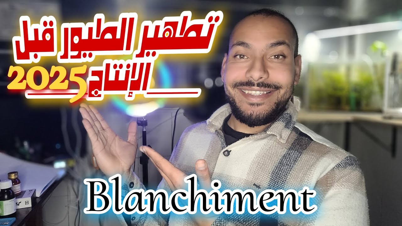 أفضل طريقة لتطهير طيور الحسون والكناري من الأمراض قبل موسم الإنتاج 🐦🔥 Blanchiment 2025
