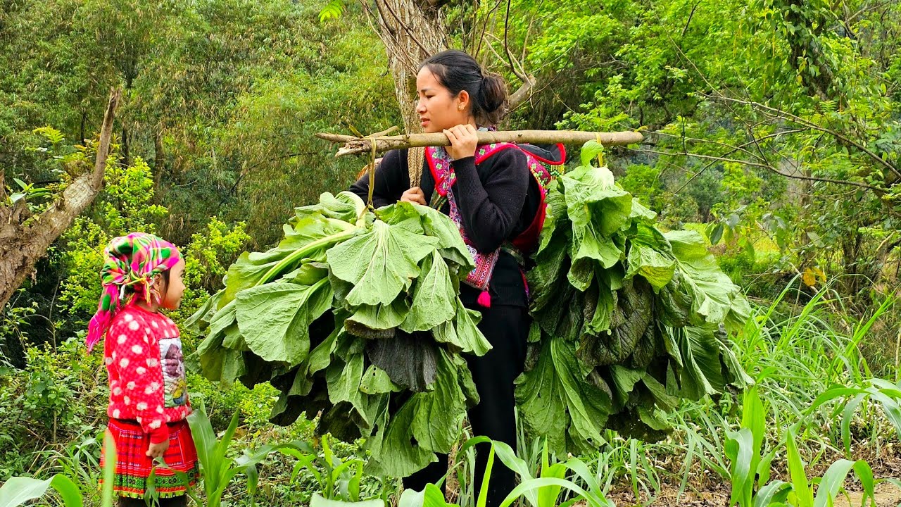 Mẹ Đơn Thân - Cùng Con Cắt Rau Tím Đi Chợ , Muối Dưa / Cuộc Sống Thường Ngày