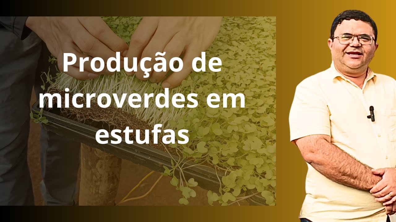 Cultivo de microverdes em estufa