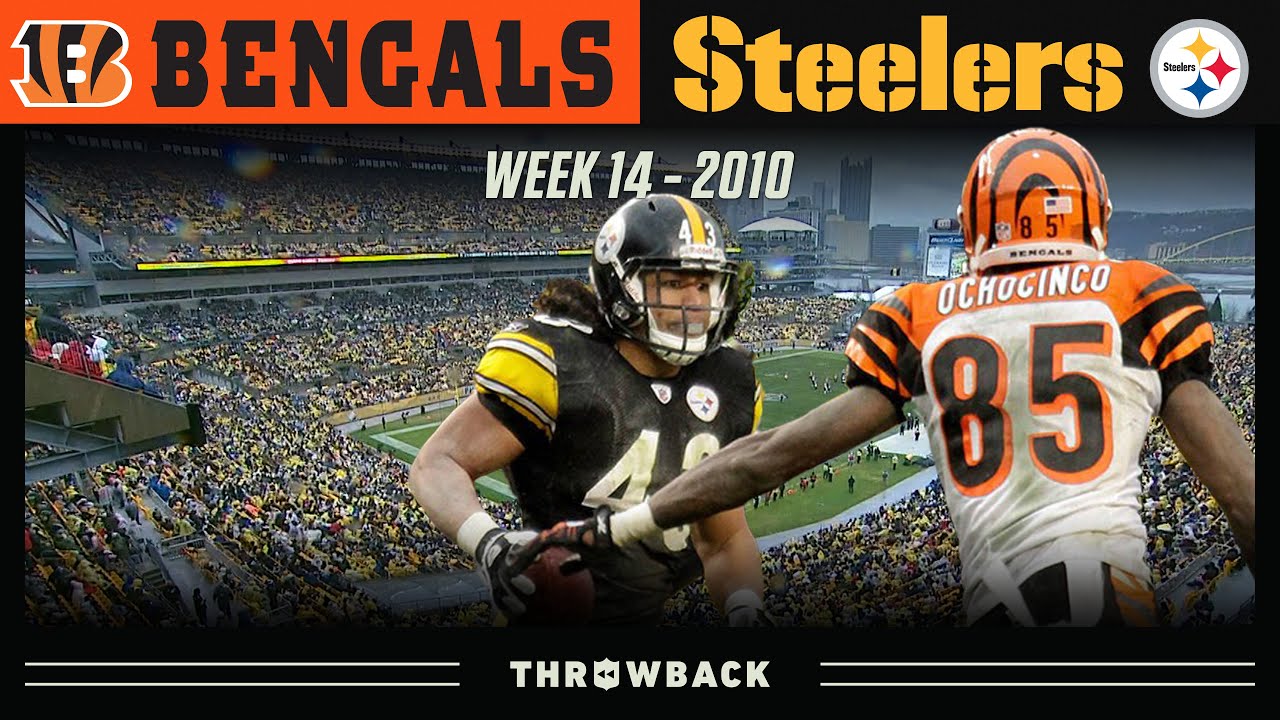 Troy Polamalu Locks Up Defensive Player of the Year! (Bengals vs. Steelers 2010, Week 14)
