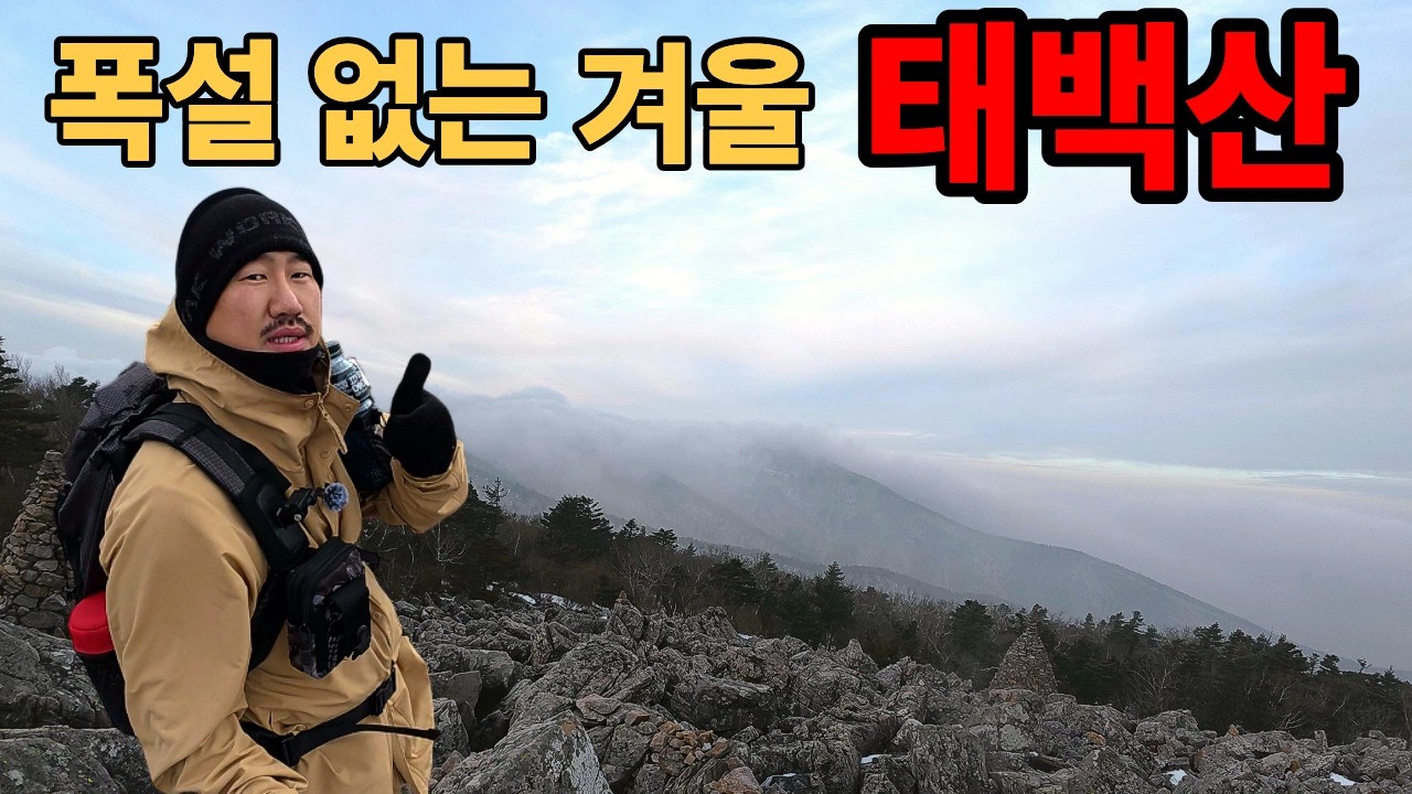 태백산 다녀왔습니다 l 폭설·눈꽃 없는 겨울, 태백산을 걸어보자 #hiking #등산#태백산#천제단#장군봉