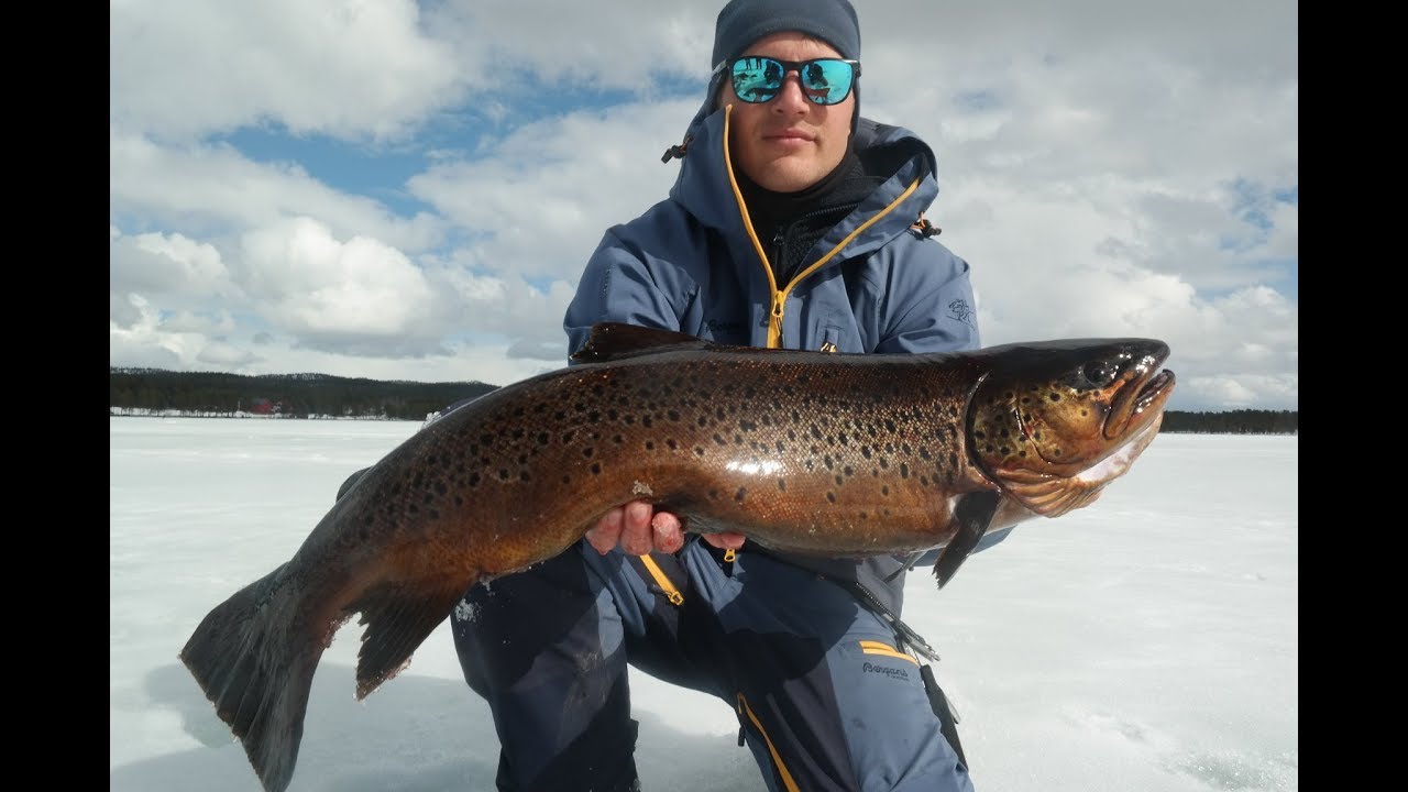 Where The Big Fish Reigns   (Norsk Versjon)