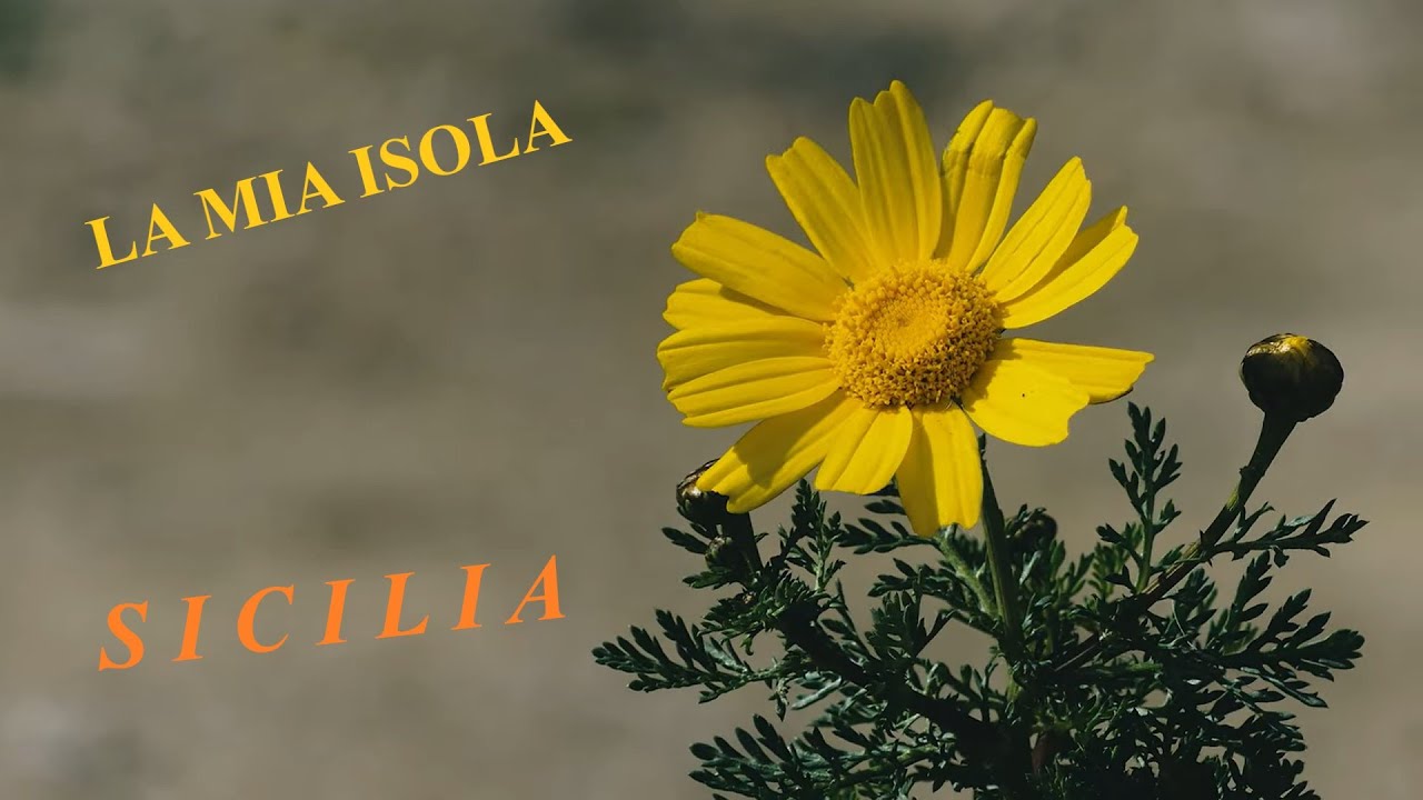 LA MIA ISOLA  -  SICILA  -