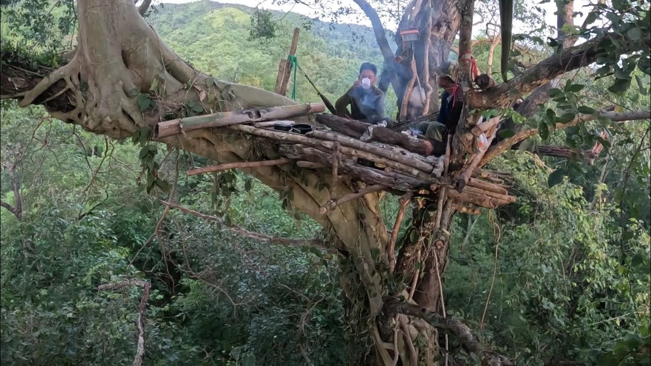 EP.412 การนั่งห้างที่สูงที่สุดในชีวิตในป่าลึก ตกดึกแอบถ่ายสัตว์ป่าที่ใต้ห้าง