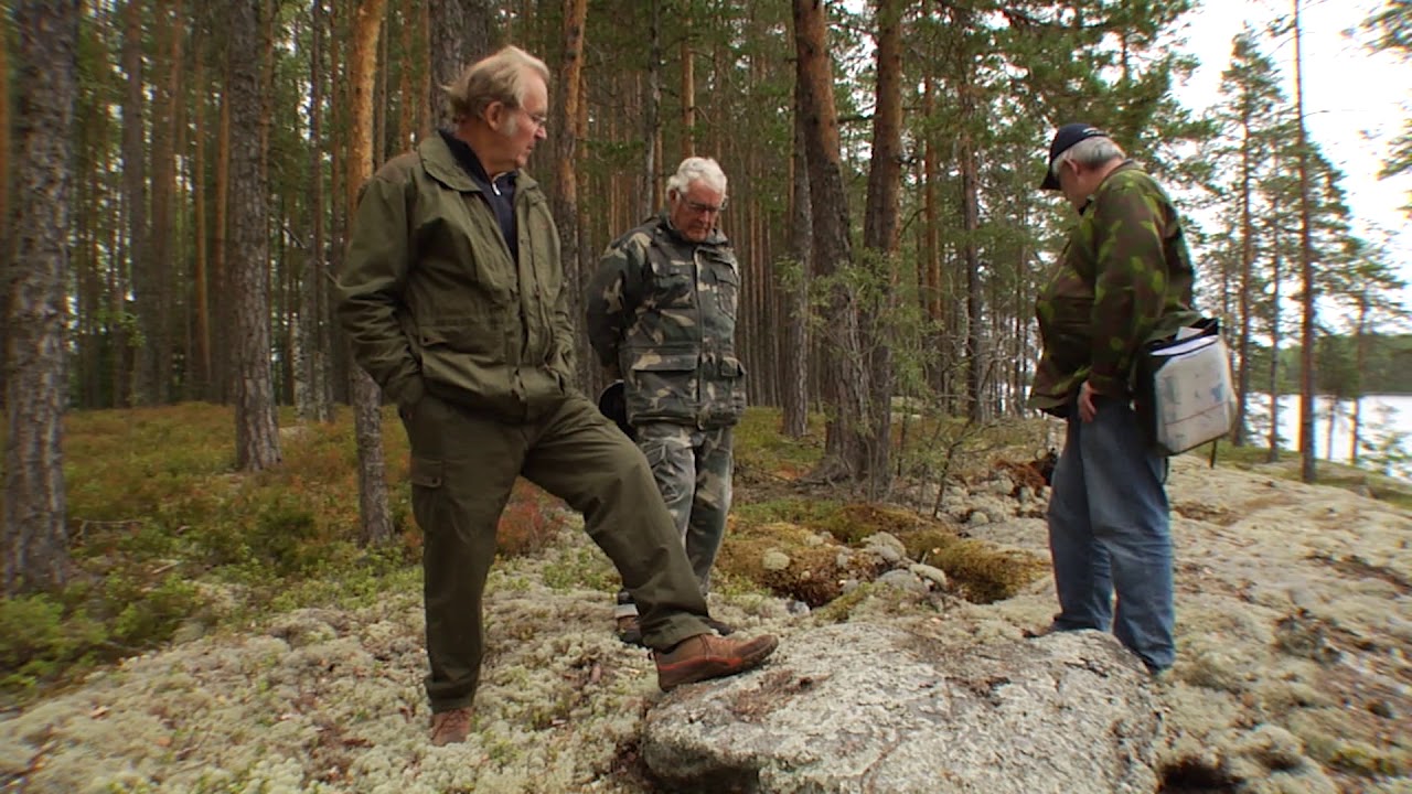 Heinäveden pyhät paikat: Hoikansaari