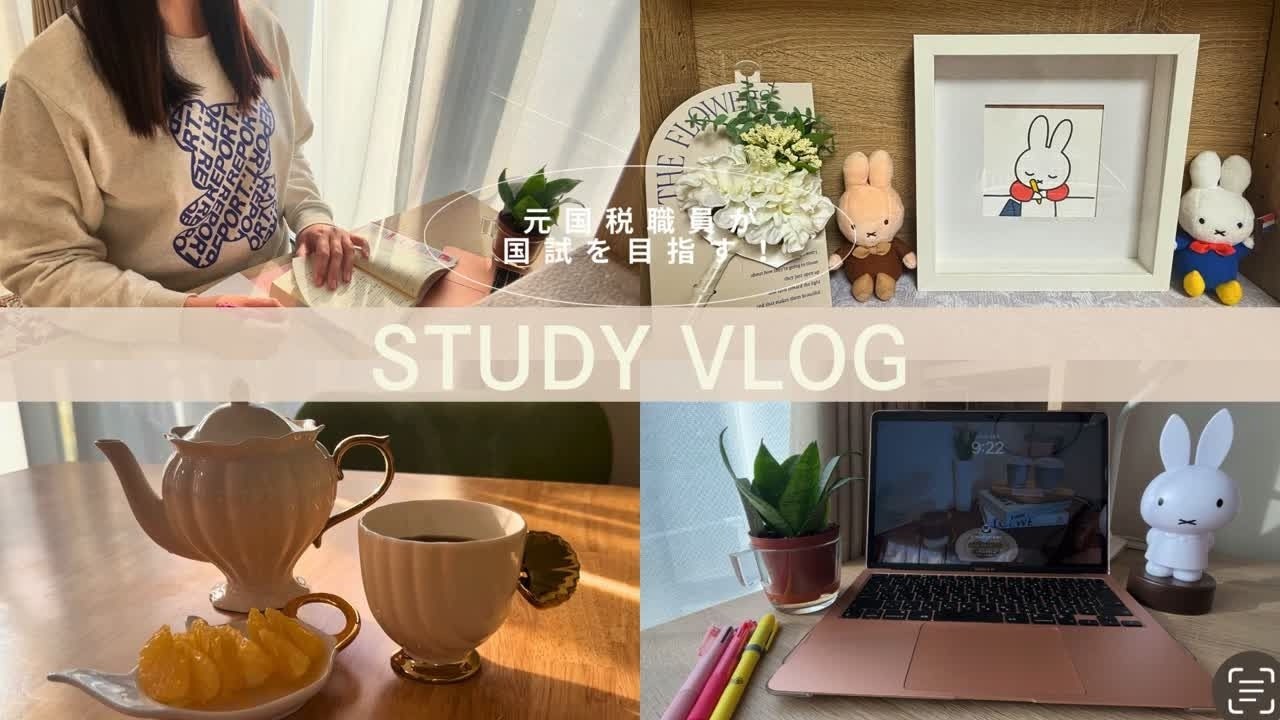 【STUDY VLOG 】元国税職員が働きながら国試合格を目指す社会人の勉強VLOG