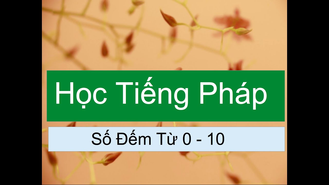 Học số đếm tiếng Pháp hãy bắt đầu bằng video siêu dễ này# Hiệu quả#Hay# Học giỏi tiếng Pháp#