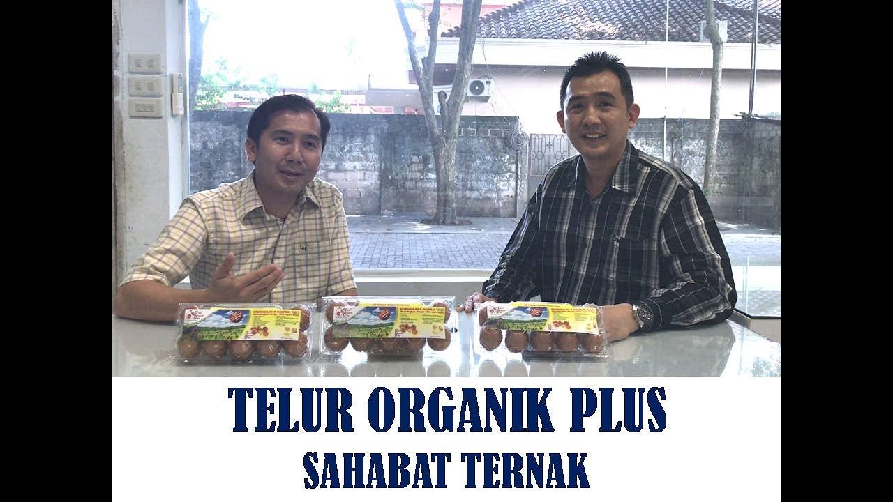 Telur Organik Plus dari Sahabat Ternak.