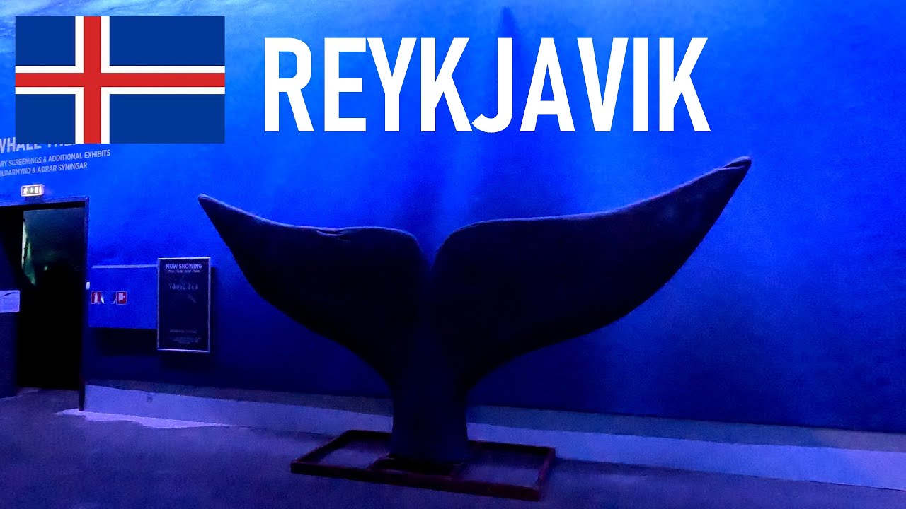 🇮🇸 Reykjavik - Whales of Iceland Museum (Iceland, June 2024)
