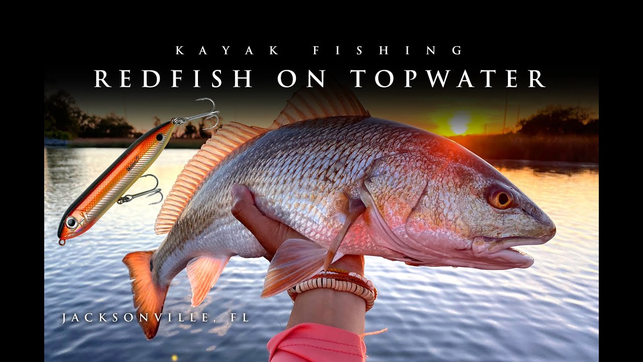 Redfish on Topwater in Dunn’s Creek! Jacksonville, FL Kayak Fishing